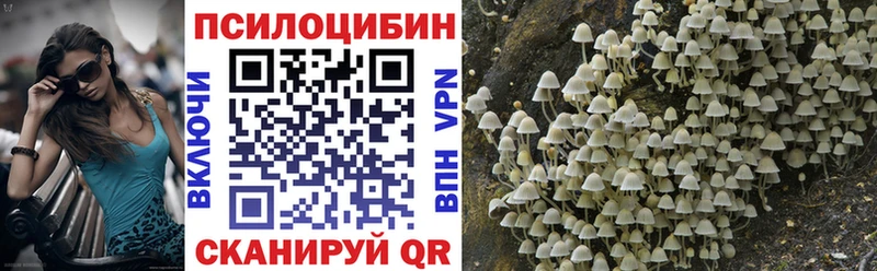 Галлюциногенные грибы MAGIC MUSHROOMS  mega маркетплейс  Кувшиново 
