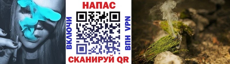 закладки  Кувшиново  Конопля гибрид 